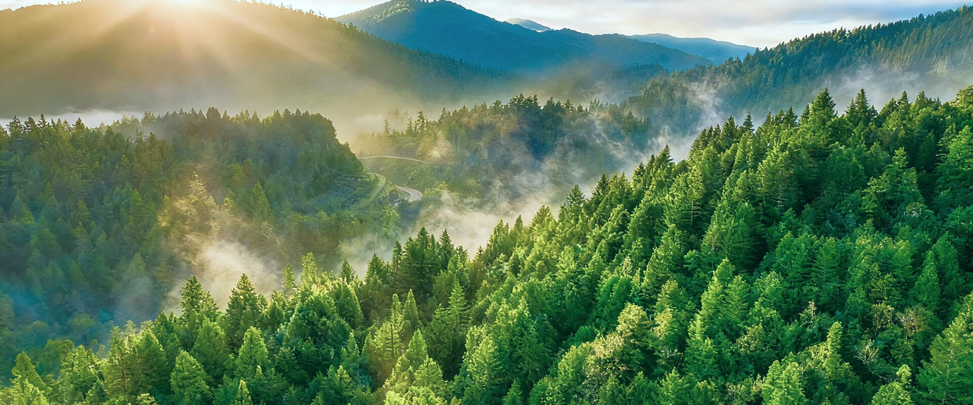 果下科技官方网站建设